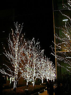 �i���j���[���{�ЍP��̊X�H���C���~�l�[�V����