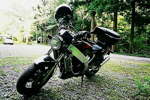 WOLF250