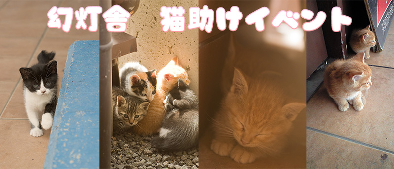 幻灯舎の猫助けイベントのバナー