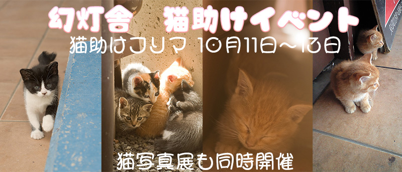 猫助けフリマと猫写真展のお知らせバナー